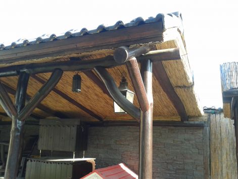 20130221_090729.jpg